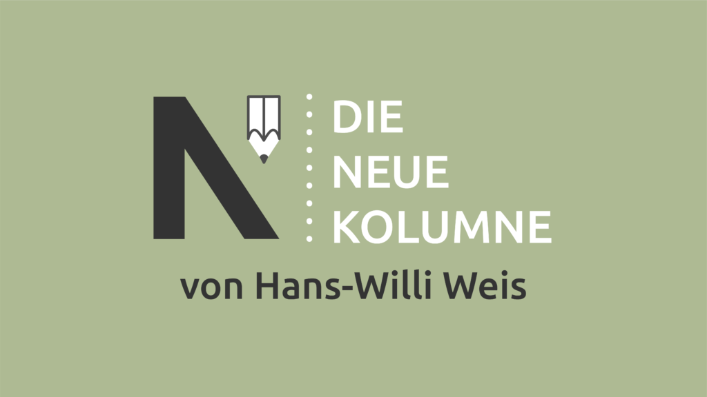Das Logo von die neue Norm auf blassgrünem Grund. Rechts davon steht: Die Neue Kolumne. Unten steht: Von Hans-Willi Weis.