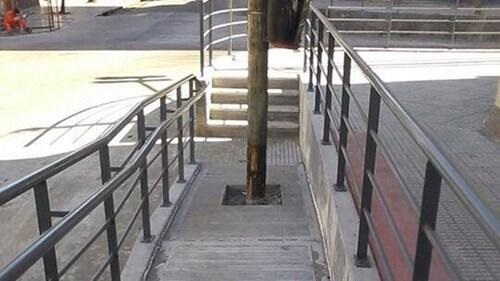 Auf einem geplasterten Weg, der die Alternative zur Treppe ist, ist ein Baum gepflanzt, der im Weg steht.