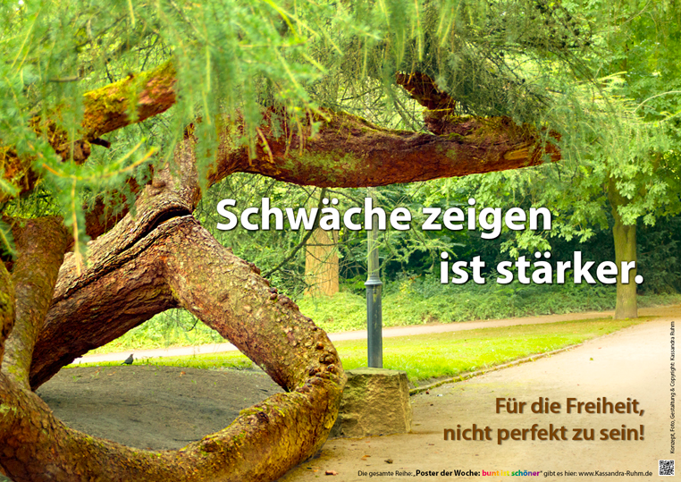 Ein schräg gewachsener Baum mit großen Wurzeln, der von einem Metallstab gestützt wird und einem schmalen Weg daneben. Darüber der Text: Schwäche zeigen ist stark. Für die Freiheit, nicht perfekt zu sein.