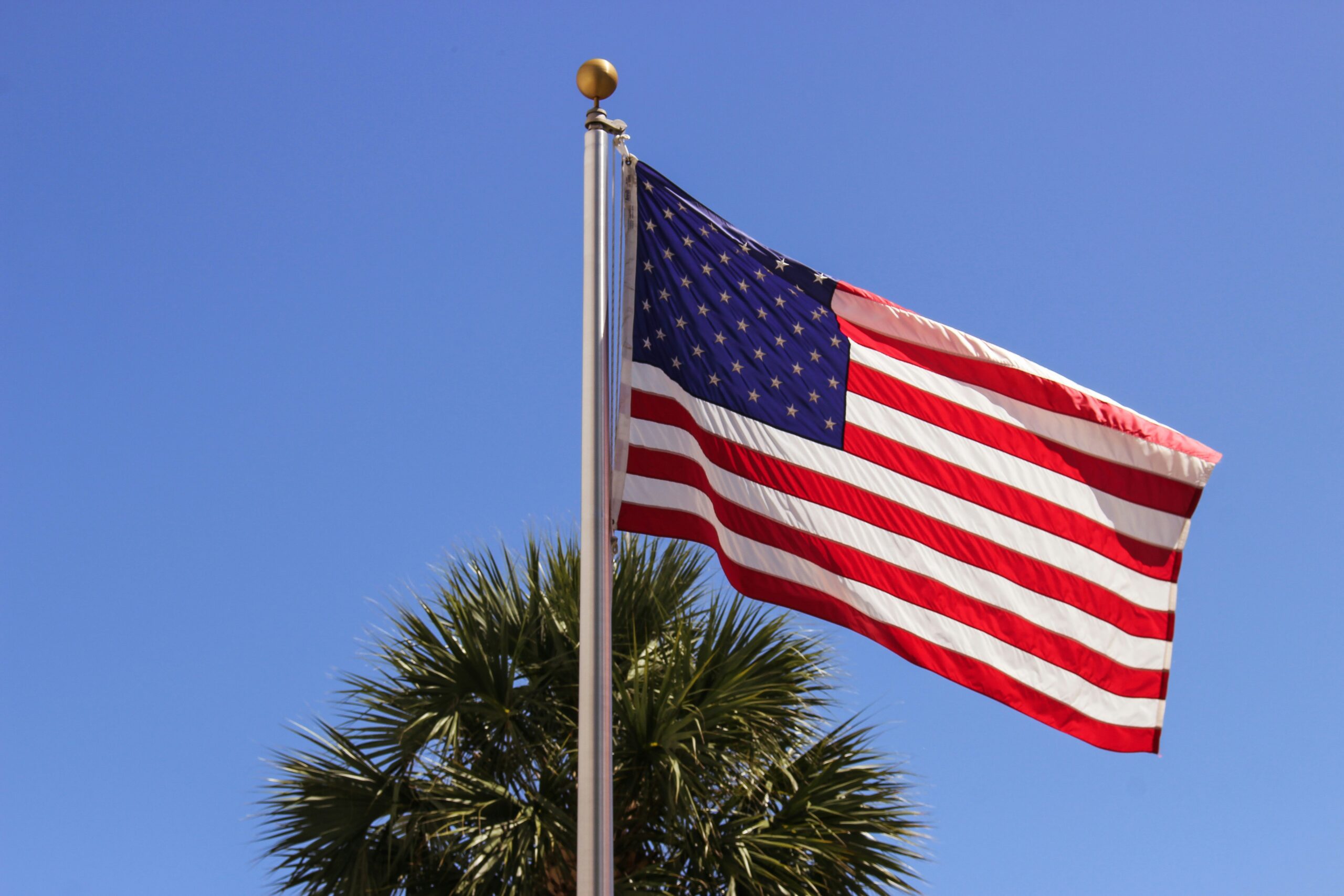 USA Fahne an Mast vor blauem Himmel, mittig unterhalb der Fahne ist das obere Ende eine Palme zu sehen.