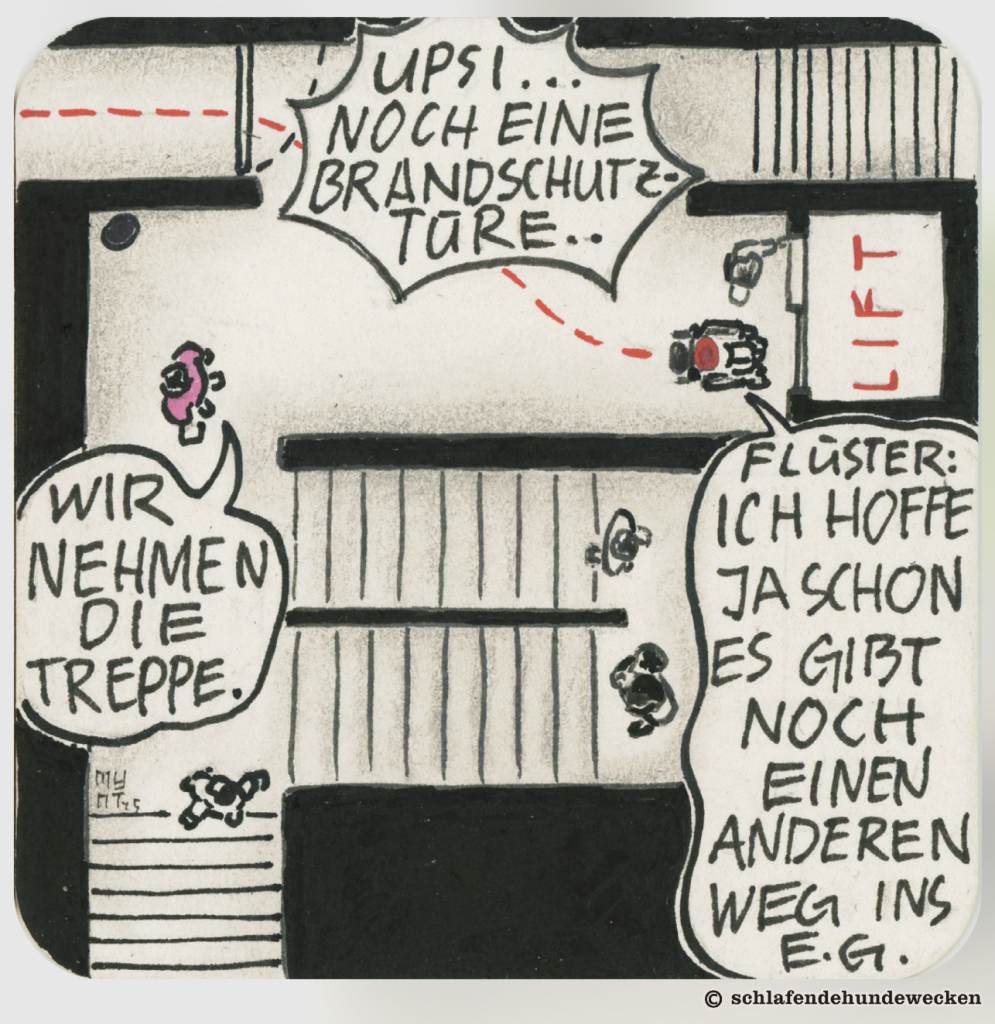 Ansicht von oben auf ein Treppenhaus und einen Flur mit Aufzug. Der barrierefreie Weg ist als rote Linie markiert, die an mehreren Brandschutztüren vorbeiführt. Jasmin steht mit dem Rollstuhl vor dem Lift. Sie flüstert Valentin zu, sie hoffe, es gäbe noch einen anderen Weg ins EG. Der Makler sagt, er und die anderen Interessierten nehmen die Treppe.