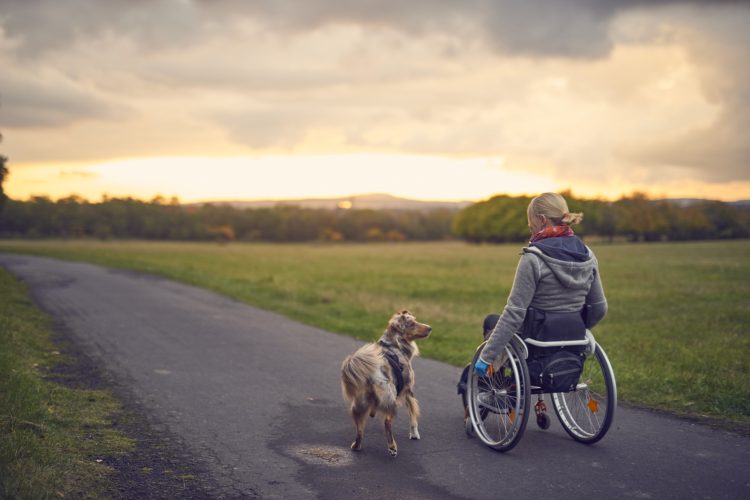 Eine Person im Rollstuhl ist mit einem Hund auf einem Weg zwischen zwei Feldern unterwegs.